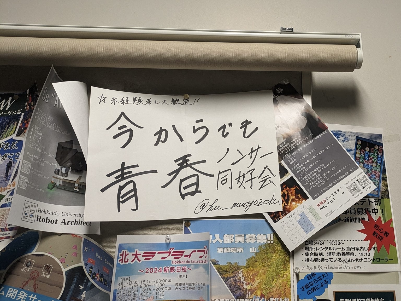 活動写真4